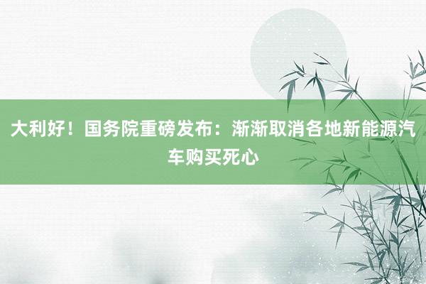 大利好！国务院重磅发布：渐渐取消各地新能源汽车购买死心