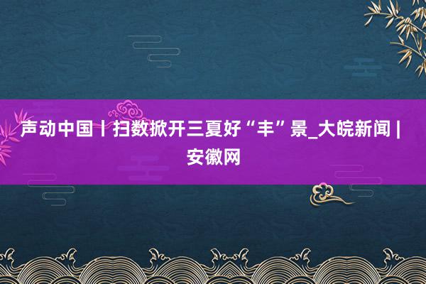 声动中国丨扫数掀开三夏好“丰”景_大皖新闻 | 安徽网