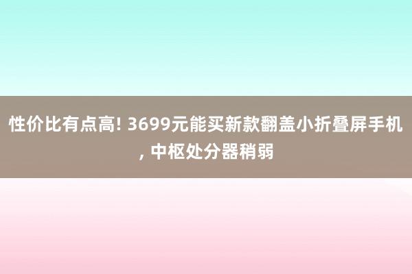 性价比有点高! 3699元能买新款翻盖小折叠屏手机, 中枢处分器稍弱