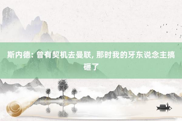 斯内德: 曾有契机去曼联, 那时我的牙东说念主搞砸了