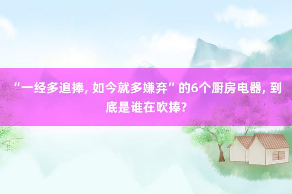 “一经多追捧, 如今就多嫌弃”的6个厨房电器, 到底是谁在吹捧?