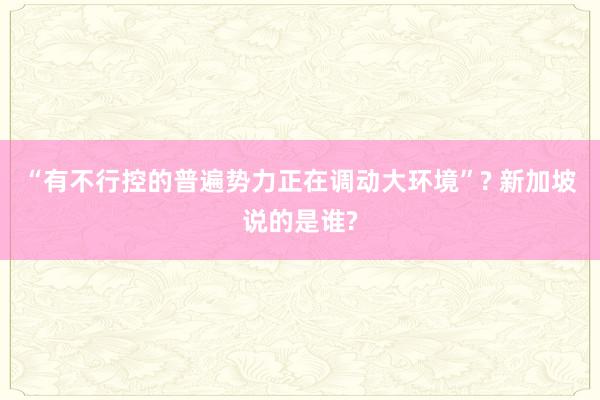 “有不行控的普遍势力正在调动大环境”? 新加坡说的是谁?