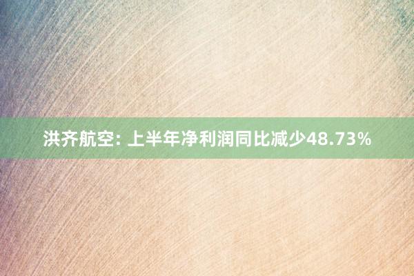 洪齐航空: 上半年净利润同比减少48.73%