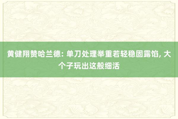 黄健翔赞哈兰德: 单刀处理举重若轻稳固露馅, 大个子玩出这般细活