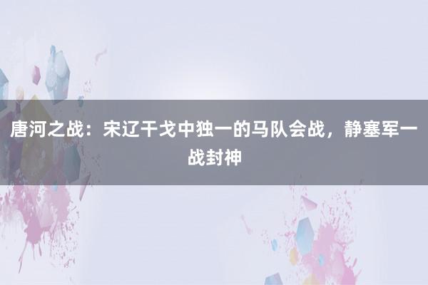 唐河之战：宋辽干戈中独一的马队会战，静塞军一战封神