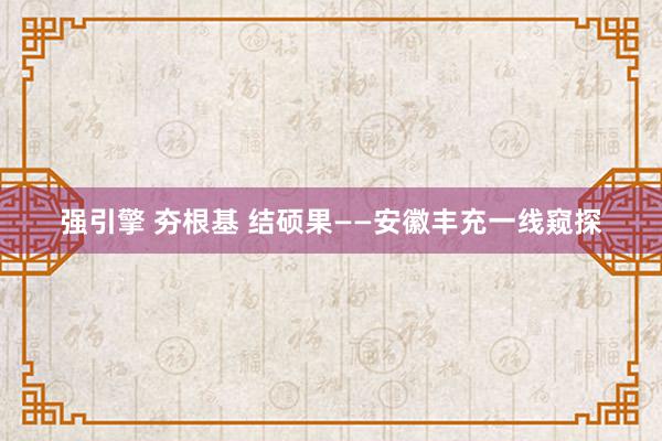 强引擎 夯根基 结硕果——安徽丰充一线窥探