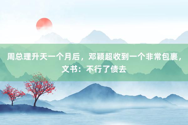 周总理升天一个月后，邓颖超收到一个非常包裹，文书：不行了债去