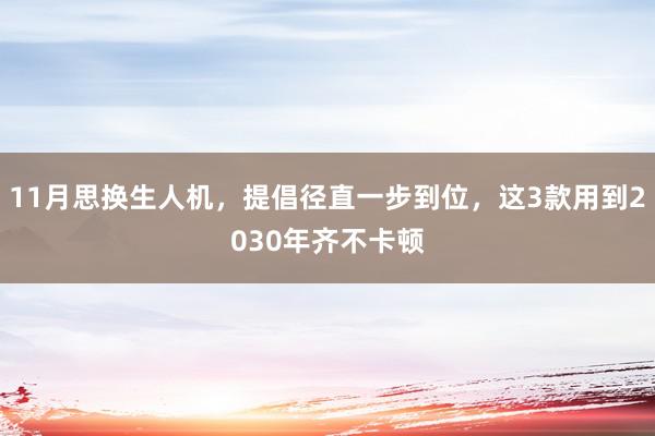 11月思换生人机，提倡径直一步到位，这3款用到2030年齐不卡顿